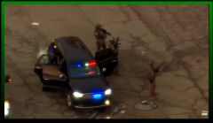 2026-01-05 at 10.29.18 PM.jpeg